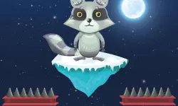 Jumping Raccoon image