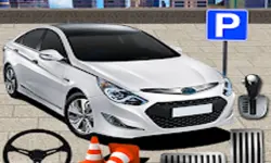 Advance Parking Car image