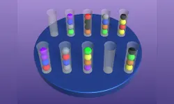 Sorting Ball Quiz image