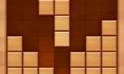 Wood Block Puzzle image