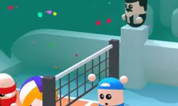 Valley Balls image