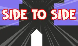 Side 2 side image