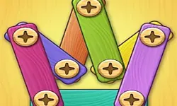 Screw Puzzle DIY image