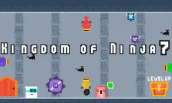 Kingdom of Ninja 7 image