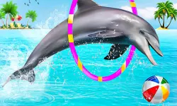 Dolphin Water Stunts Show image