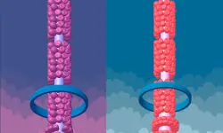 Clean The Tube image