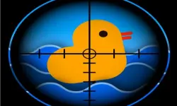Quick Duck Shoot image