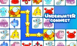 Underwater Connect image