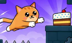 I Am Cake No Cats image