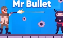 Mr Bullet image