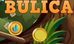 Bulica image