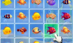 Fishing Puzzles image