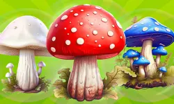 MergeMushrooms: 2048! image