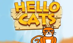 HELLO CAT image