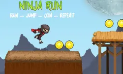 Ninja Run - Fullscreen Running Game image