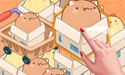 Mart Puzzle Box Cat image