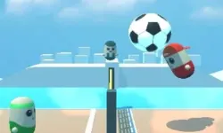 Pin Voleyballs image