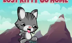 Lost Kitty Go Home image