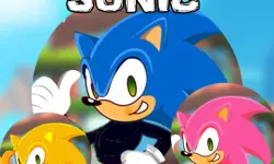 Sonic Dress Up image