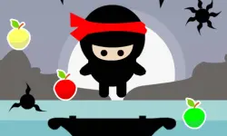Ninja Jumper image