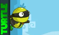 Turtle image