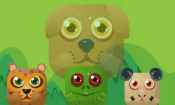 Animal Match Master image