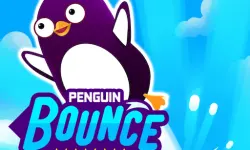 Mr BounceMaster image