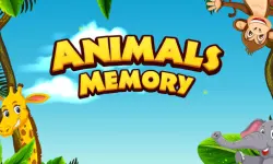 Super Animal Memory image