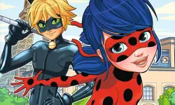 Ladybug Differences image