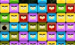 Angry Owls image