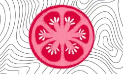 SliceItUp image