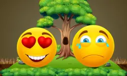 Sad or Happy image