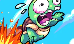 Shoot the Turtle image