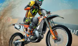 Mad Skills Motocross 3 image