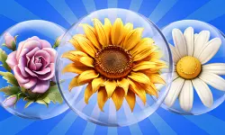 Dice Puzzle Flowers! image