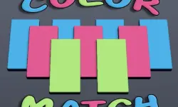 Color Match Puzzle image
