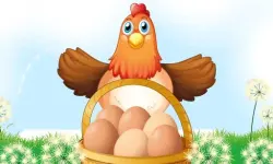 Egg Collector image