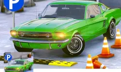 3d car parking image