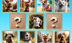 Doggie Duo Discoveries image