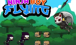 Ninja Boy Flying image