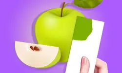 Color Match 3D Game image