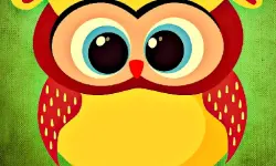 Funny Owls Jigsaw image