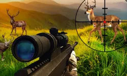 Wild Hunter Sniper Buck image
